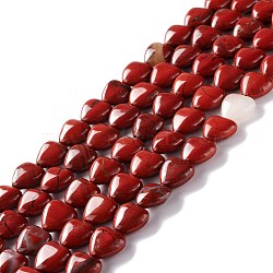 Natural Red Jasper Beads Strands, Heart, 12.5x12.5x6mm, Hole: 1mm, about 33pcs/strand, 15.55''(39.5cm)(G-B022-01)