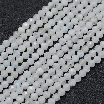 Natural Rainbow Moonstone Beads Strands, Round, Faceted, 3mm, Hole: 0.5mm, about 113pcs/strand, 15.35 inch(39cm)