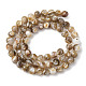 Natural Freshwater Shell Beads Strands(SHEL-K006-71A)-2