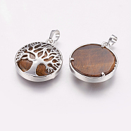 Natural Tiger Eye Pendants, with Brass Findings, Platinum, Flat Round with Tree, 31x27x6.5~7mm, Hole: 5x8mm(X-G-E388-06P)