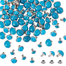 WADORN 150 Sets 3 Style Plastic Imitation Turquoise Garment Rivets, Alloy & Iron Semi-Tublar Rivets, for Clothes Bag Shoes Leather Craft, Deep Sky Blue, 3~10x6~10mm, 2pcs/set, 50 sets/style(FIND-WR0007-54)