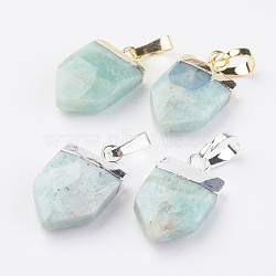 Mixed Color Others Amazonite Pendants(G-G737-15C)