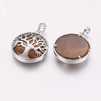 Natural Tiger Eye Pendants, with Brass Findings, Platinum, Flat Round with Tree, 31x27x6.5~7mm, Hole: 5x8mm