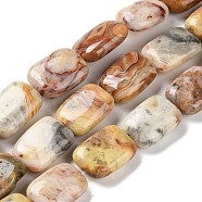 Natural Crazy Lace Agate Beads Strands, Rectangle, 14~15x10~11x5~5.5mm, Hole: 1~1.2mm, about 28pcs/strand, 16.02 inch(40.7cm)(G-K357-D08-01)