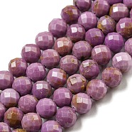 Natural Lepidolite/Purple Mica Stone Beads Strands, Phosphosiderite, Faceted, Round, 5~5.5mm, Hole: 0.8mm, about 72pcs/strand, 15.16''(38.5cm)(G-NH0011-A01-04)