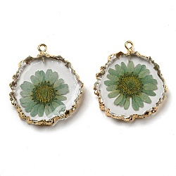 Inner Dried Flower Resin Pendants, Flat Round Charms with Light Gold Plated Brass Edge and Iron Loops, Dark Sea Green, 34~36x30~31.5x4.5~5.5mm, Hole: 2mm(X-RESI-P028-02KCG-02)