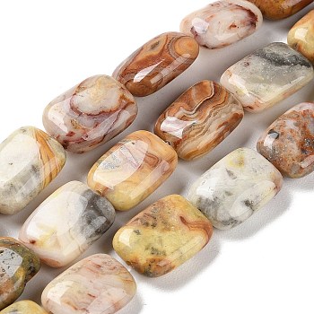 Natural Crazy Lace Agate Beads Strands, Rectangle, 14~15x10~11x5~5.5mm, Hole: 1~1.2mm, about 28pcs/strand, 16.02 inch(40.7cm)