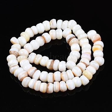 Natural Trochid Shell/Trochus Shell Beads Strands(SHEL-S258-081-A01)-2