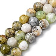 Natural Green Opal Beads Strands, Round, 10mm, Hole: 1mm, about 38~40pcs/strand, 15.12~15.51 inch(38.4~39.4cm)(G-C029-02B)