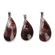 Natural Shell Pendants, Brass Teardrop Charms with Snap on Bails, Platinum, 38~49x17~20x7~9mm, Hole: 6x4mm(SHEL-D080-01P)