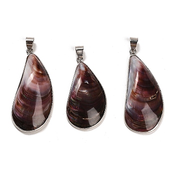Natural Shell Pendants, Brass Teardrop Charms with Snap on Bails, Platinum, 38~49x17~20x7~9mm, Hole: 6x4mm