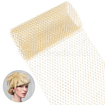 Nylon Mesh Lace Fabric, for Bride Veil Decoration, Gold, 25.2~25.5x0.03cm, about 2m/pc(DIY-WH0530-83C)