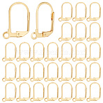 40Pcs 304 Stainless Steel Leverback Earring Findings, with Loop, Real 18K Gold Plated, 17x10.5x2mm, Hole: 2mm(STAS-BBC0003-92)