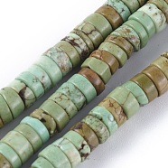 Natural Magnesite Beads Strands, Heishi Beads, Dyed & Heated, Flat Round/Disc, Dark Sea Green, 6x3mm, Hole: 0.8mm, about 152pcs/strand, 15.1 inch(38.5cm)(TURQ-L030-04B-02)