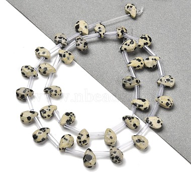 dalmatien naturelle perles de jaspe brins(G-Q167-A20-02)-2