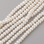 Natural Cultured Freshwater Pearl Beads Strands, Oval, Old Lace, 6~8x4~5mm, Hole: 0.5mm, about 70~71pcs/strand, 14.7 inch(37.5cm)(PEAR-G007-21)