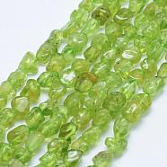 Natural Peridot Beads Strands, Tumbled Stone, Grade AB, Nuggets, 5~11x5~7mm, Hole: 1mm, 15.3 inch~15.7 inch(39~40cm)(G-K203-49)