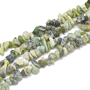 Natural Serpentine Beads Strands, Chip, 5~11x3~9x1~9mm, Hole: 1mm, about 200~300pcs/strand, 33.8 inch(G-S314-17)
