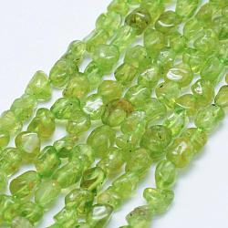 Natural Peridot Beads Strands, Tumbled Stone, Grade AB, Nuggets, 5~11x5~7mm, Hole: 1mm, 15.3 inch~15.7 inch(39~40cm)(G-K203-49)