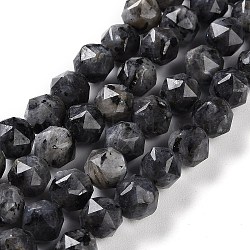 Natural Larvikite Beads Strands, Faceted, Double Hearted & Star Cut Beads, 7~8.5x7.5~8mm, Hole: 0.8~1mm, about 48~50pcs/strand, 15.16~15.55 inch(38.5~39.5cm)(G-NH0021-A04-01)