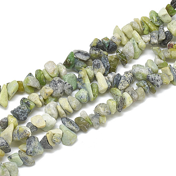 Natural Serpentine Beads Strands, Chip, 5~11x3~9x1~9mm, Hole: 1mm, about 200~300pcs/strand, 33.8 inch