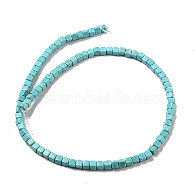 Dyed Synthetic Turquoise Beads Strands(G-G075-B02-03)-2