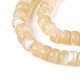 Natural Trochid Shell/Trochus Shell Beads Strands(BSHE-T014-54B)-3