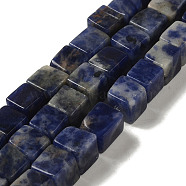 Natural Sodalite Beads Strands, Cube, 6.5x6.5x6mm, Hole: 0.8mm, about 60pcs/strand, 15.20''(38.6cm)(G-B078-K01-01)