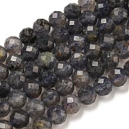 Natural Iolite Beads Strands, Faceted, Round, 5.5mm, Hole: 0.8mm, about 70pcs/strand, 15.12''(38.4cm)(G-A097-A14-09A)