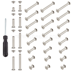 Iron Binding Chicago Screws, for Photo Album Leather Craft Fasteners, with Flat Head Screwdriver, Platinum, 80pcs(IFIN-PH0001-44)