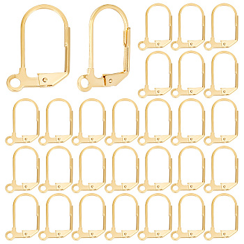 40Pcs 304 Stainless Steel Leverback Earring Findings, with Loop, Golden, 18x12x1.5mm, Hole: 2mm, Pin: 0.8mm