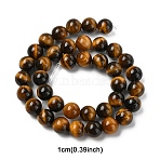 1 Strand Natural Tiger Eye Beads Strands, Round, 10mm, Hole: 1mm, about 36~38pcs/strand, 15 inch(G-YW0002-42A)