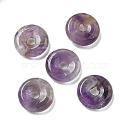 Natural Amethyst Donut/Pi Disc Charms, 12~13x3~4mm, Hole: 3mm(G-G142-01S)