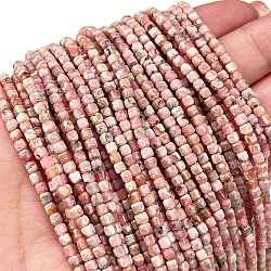 Natural Argentina Rhodonite Beads Strands, Faceted, Cube, 2.5x2.5x2.5mm, Hole: 0.6mm, about 156pcs/strand, 15.47''(39.3cm)(G-Z057-A01-01)