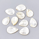 Natural White Shell Beads(SHEL-T005-03)-1