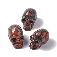 Halloween Natural Red Labradorite Home Display Decorations, Skull, 51x29x36mm(DJEW-K015-35)