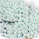 Opaque Colours Luster Glass Seed Beads(SEED-P008-01C-04)-1