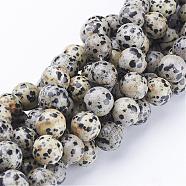 Natural Dalmatian Jasper Beads Strands, Round, 12mm, Hole: 1mm(GSR12mmC004)