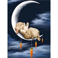DIY Rectangle Rabbit Theme Diamond Painting Kits, Including Canvas, Resin Rhinestones, Diamond Sticky Pen, Tray Plate and Glue Clay, Sleeping Bunnies in the Moon, Black, 400x300mm(DIAM-PW0004-020)