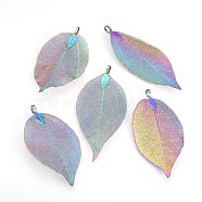 Electroplated Natural Leaf Big Pendants, with Iron Findings, Multi-color Plated, 50~80x20~35x1mm, Hole: 3x6mm(IFIN-Q119-03L)
