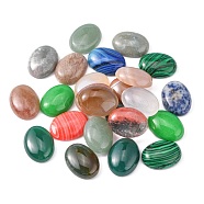 Gemstone Cabochons, Mixed Stone, Oval, Mixed Color, 20x15x6mm(G-S051-3)