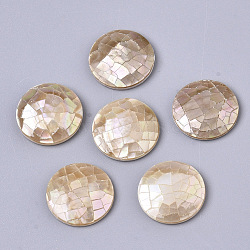 Natural Sea Shell Cabochons, with Freshwater Shell, Flat Round, Tan, 16x3~4mm(SSHEL-N034-44)