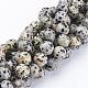 Natural Dalmatian Jasper Beads Strands(GSR12mmC004)-1