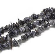 Freshwater Shell Beads Strands, Dyed, Chip, Gray, 8~28x6~8x1~4.5mm, Hole: 1mm, about 340~380pcs/strand, 29.9 inch(X-SHEL-S272-25)
