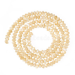 1 Strand Natural Trochus Shell Rondelle Beads Strands, Saucer Beads, Pale Goldenrod, 3x2mm, Hole: 0.5mm(SSHEL-TA0001-16B)
