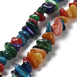 Natural Freshwater Shell Dyed Beads Strands, Chip, Colorful, 1~8x5~17x5~8mm, Hole: 0.9~1mm, 30.31~31.50''(77~80cm)(G-M205-85A)