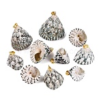 Brass & Natural Spiral Shell Pendants, Conch Charms, Light Gold, Medium Aquamarine, 15~36x18~32x16~30mm, Hole: 4~5x3.5mm(SHEL-Q029-25KCG)