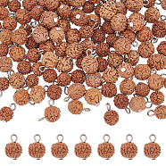 120Pcs Undyed Natural Rudraksha Charms, with Platinum Tone Iron Loops, Round, Saddle Brown, 12~13x8mm, Hole: 1.5~2mm(WOOD-AR0001-30)