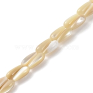 Natural Trochus Shell Beads, Teardrop, Wheat, 12x5mm, Hole: 0.8mm(PEAR-B002-01A-B)