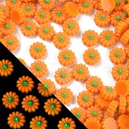 Luminous Resin Decoden Cabochons, Glow in the Dark, Autumn Pumpkin, Orange, 8.5x5mm(RESI-K036-25)